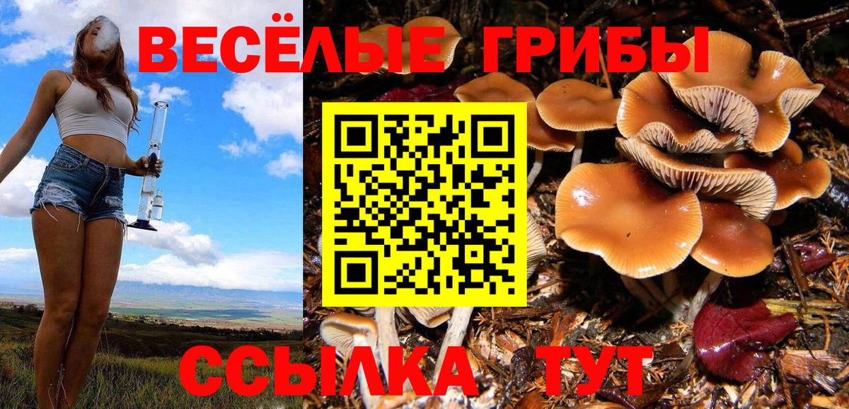 Галлюциногенные грибы Magic Shrooms Абинск