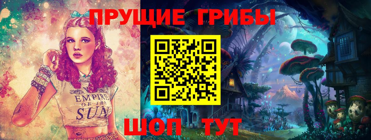 Галлюциногенные грибы GOLDEN TEACHER  Вход с VPN  Галлюциногенные грибы MAGIC MUSHROOMS  Абинск 